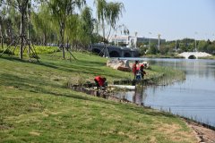 創(chuàng)建文明城  我們在行動(dòng)